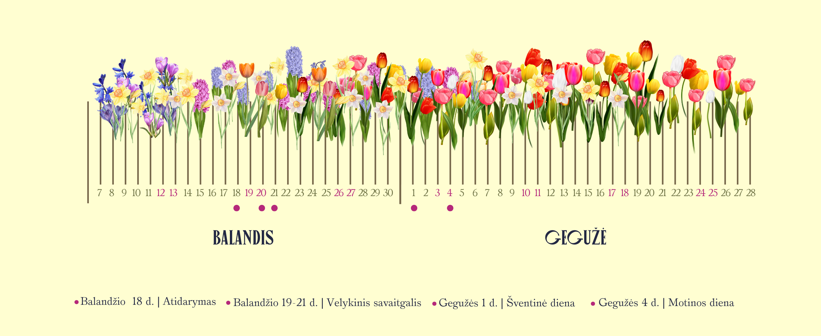 Pavasario gėlių žydėjimo diagrama